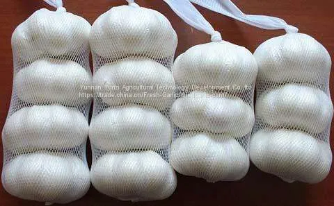 Fresh White Garlic photo-2