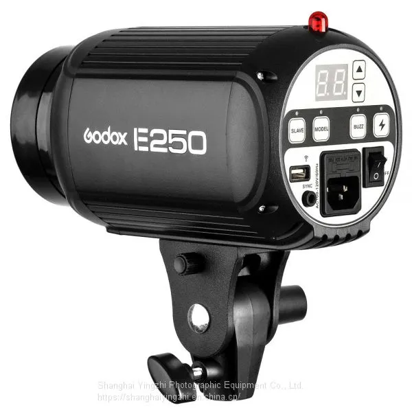 Godox E Series 250W Studio Flash for Photography(250WS Professional Studio Flash Light) photo-4
