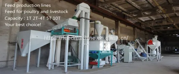 Hot Sale Ring Die Bird/chicken/poutry/livestock Feed Pellet Mill Machine photo-3