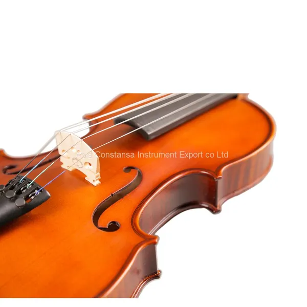 Educational Strings Musical Instruments Primary Beginner Universal Violin A Good Violin Should Meet the Following Basic Requirements photo-3