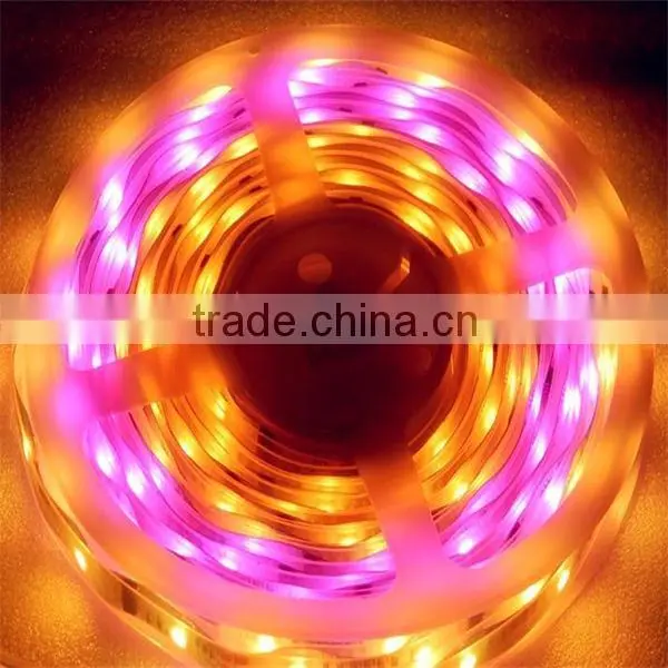 Good Quality Aluminum Channel for Led Strip 3528smd 360led/m photo-5