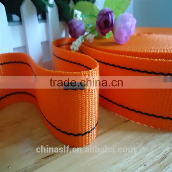 High Quality Webbing for Outdoor PP Webbing photo-3