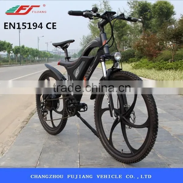 350w Green City Electric Bike in the Philippines photo-2