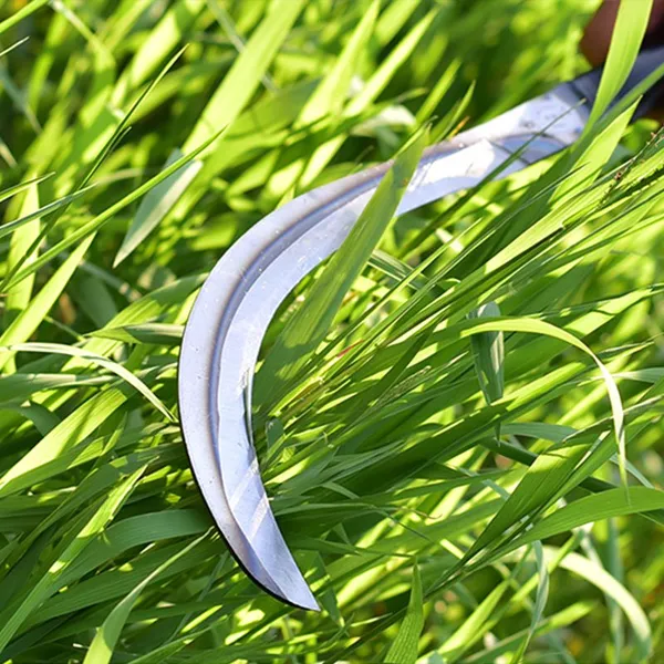 Sharp Carbon Steel Agricultural Sickle for Rice Wheat Grass Cutting and Field Harvesting Work photo-3