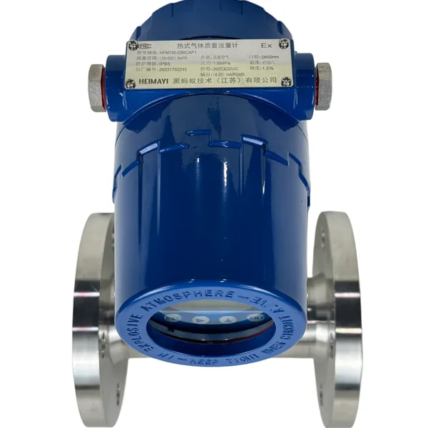 Customized Thermal Gas Mass Flowmeter OEM Solution With Technical Support and Mill Test Report for Long-term Partnership