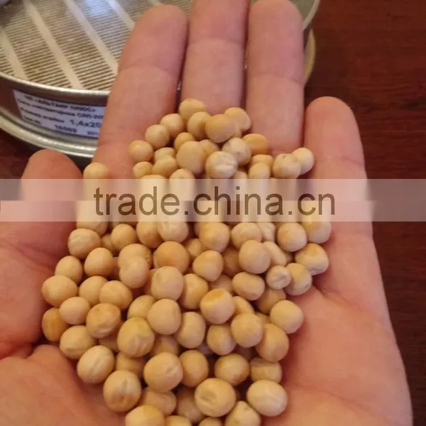 YELLOW PEAS photo-2