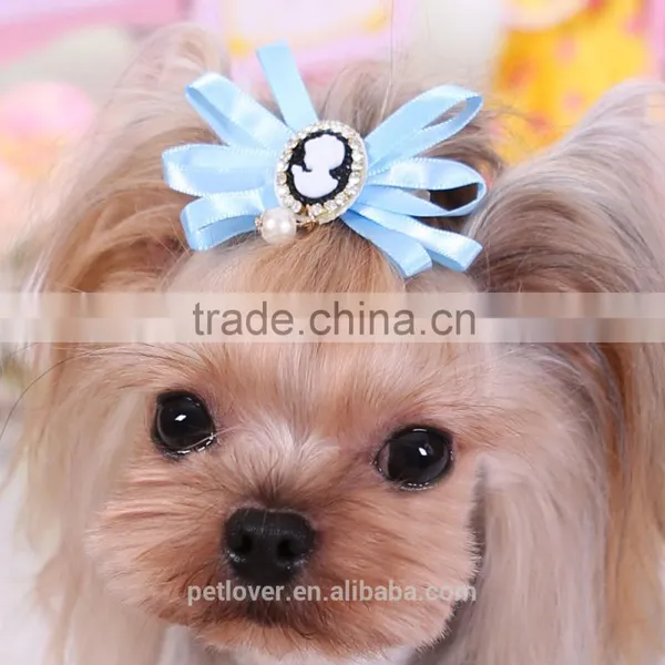 New China Pet Accessories 2016 photo-2