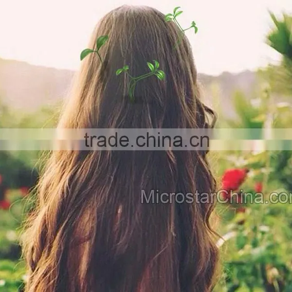 Creative Plants Hairpins Flower Fruit Sprouts Hairpins Hair Clip Hair Decorations photo-6