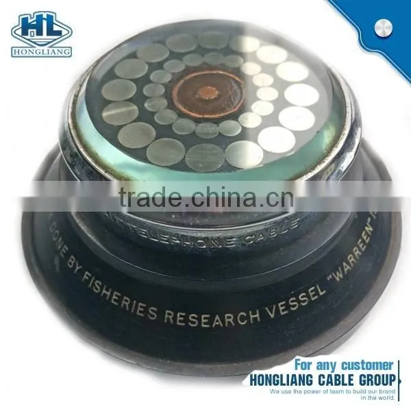 Aluminium Concentric Cable 2*6AWG AI/XLPE/PVC Cable photo-5