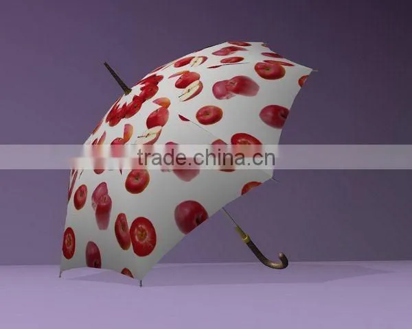 Tyvek Umbrella