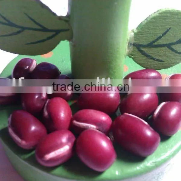 Adzuki Bean