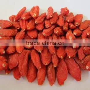 New Batch Goji Berry Wih Good Prce photo-3