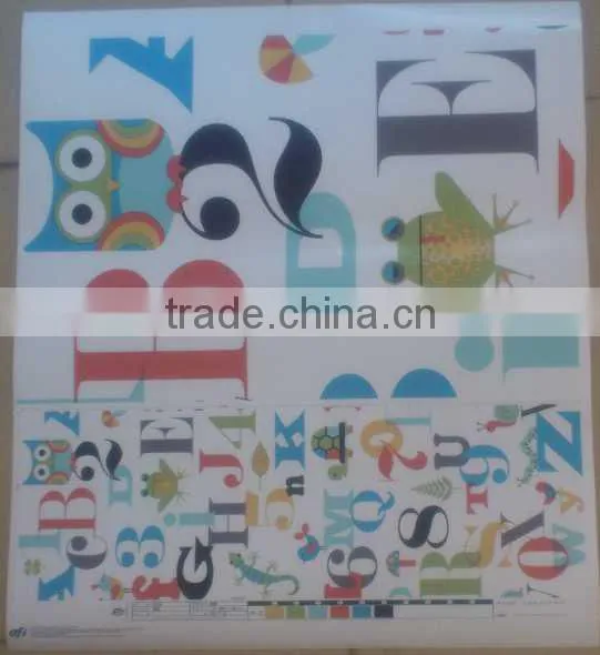 PVC Sheet for Raincoat Plastic Raincoat photo-3