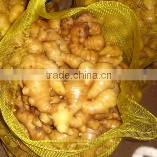2016 Air Dried Bright Yellow Ginger China photo-5
