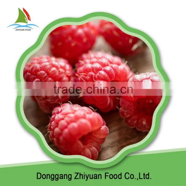China High Quality IQF Frozen Cultivated Raspberry photo-4