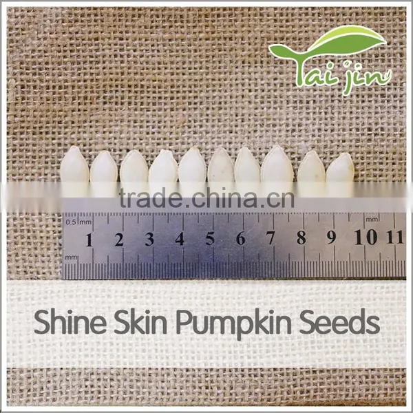 Best Quality Lady Nail Shine Skin Pumpkin Seeds for Sale photo-2
