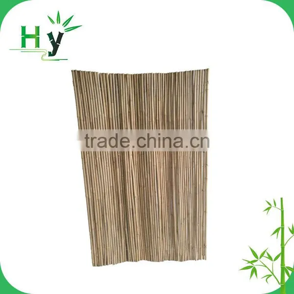 Bamboo Pole ++++ photo-5