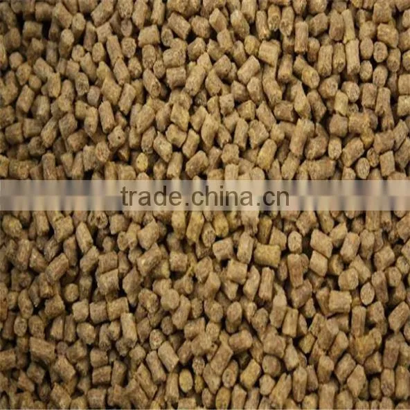 Cheapest Small Fish Floating Feed Pellet Machine photo-5