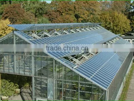 Different Models of Venlo Glass Multi-tunnel Green House With Good After-sale Service photo-5