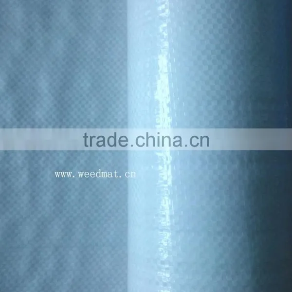 High Quality Raw Material Polyethylene Woven Fabric photo-6