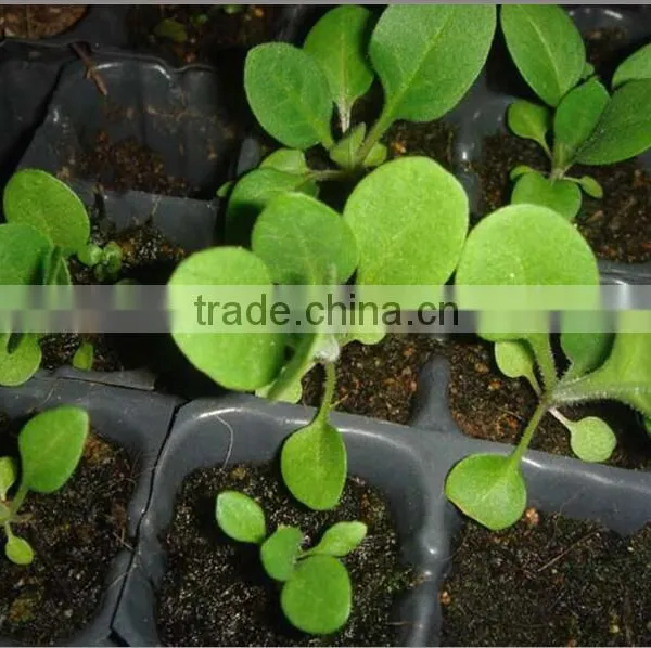 High Quality 128 150 162 200 288 Cells PS Material Seed Germination Plant Nursery Tray photo-2