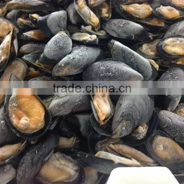 IQF Half Shell Blue Mussel