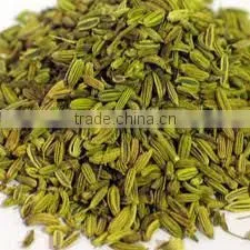 Fennel Oil photo-2