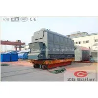 DZL Series Packaged Boiler in Palm Butter Industry