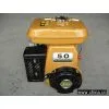 Gasoline Engine