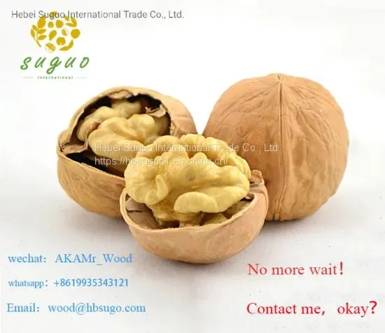 China Cheap Walnut in Shell photo-5