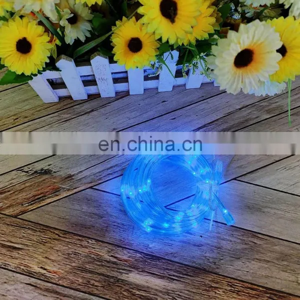 Hot Sales Holiday Decorative 2M Transparent Tube 20L Copper Wire String Lights For Outdoor Decoration photo-4
