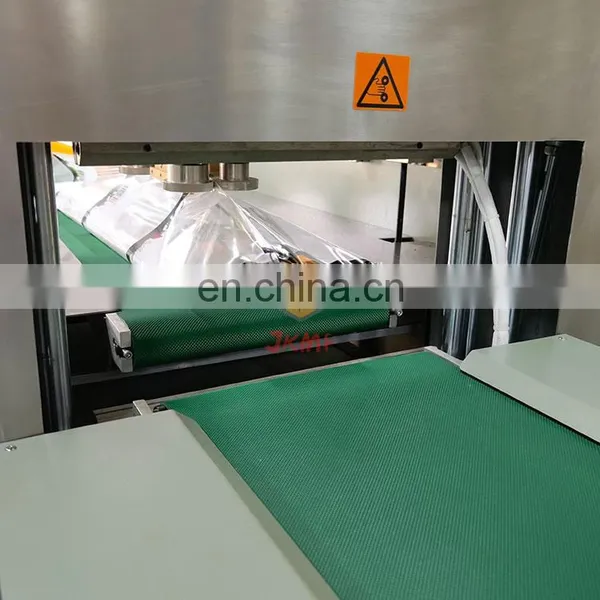 The Hot Selling Products Factory go Down the Pillow Packing Machine Vegetable Pillow Packing Machine Servo Control Feeding photo-3