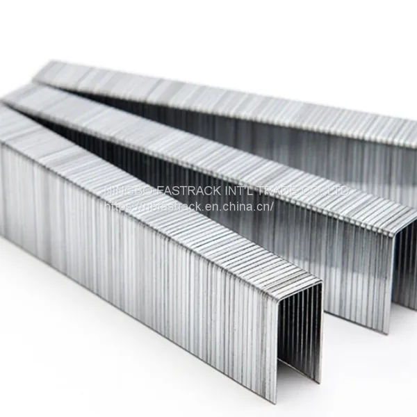 20 Gauge Air Staples Nails Good Quality Competitive Price 1013j Nb-fastrack Staples Furniture Decoration photo-2