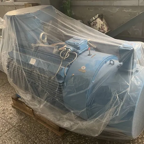 Wolong Electric Nanyang Explosion-proof Ybk3 Ybbp-315s m l1 L2-10/45kw 55kw 75kw 90kw /380v/660v Ip55 Bt4 di Ct4 in Stock for Sale photo-3