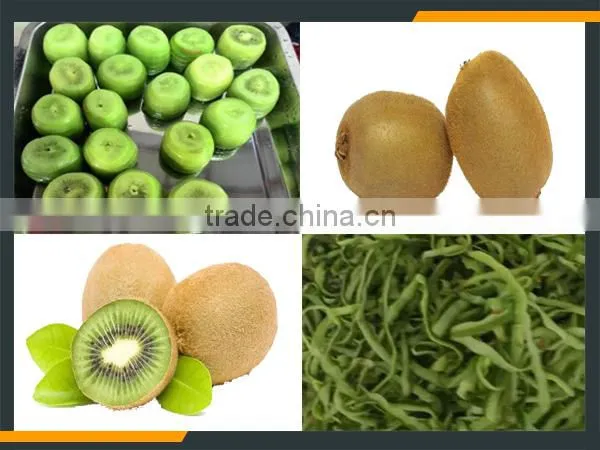 Leader Medium-sized Fruit Skin Removing Machine for Kiwi ,avocado, Apple Supplier's Choice photo-2