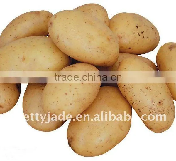 Low Price Fresh Yellow Potato From China