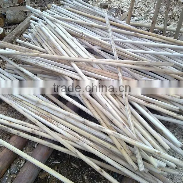 Vietnam Wood Log With Cheap Price photo-2
