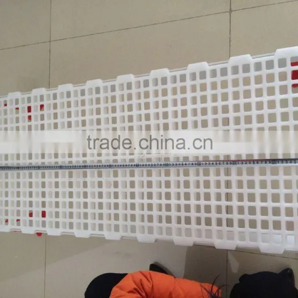 Plastic Slats Flooring for Poultry Farms, Poultry Farming Equipment (Professional Manufacturer) photo-4