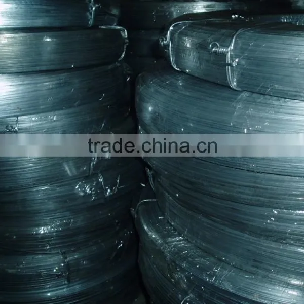 China Factory Supply Electro Galvanized Flat Wire photo-2