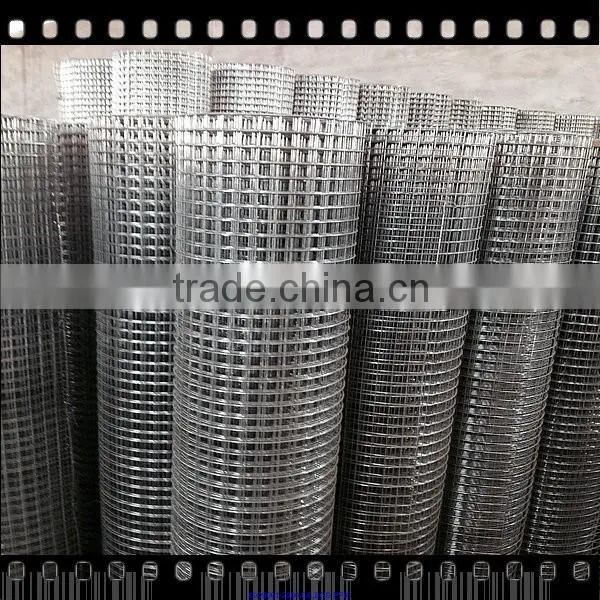 Welded Wire Mesh Best Quality photo-4