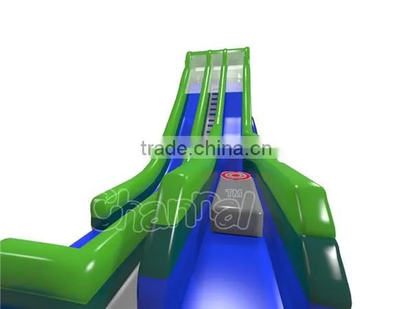 Outdoors Giant Inflatable Water Slide for Adult, Inflatable Double Lane Dry Slide for Sale photo-3