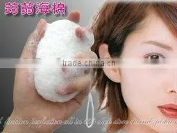 Foam Sponge