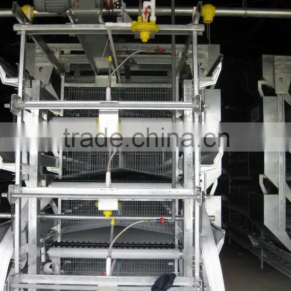 Cross Manure Removal Device photo-2