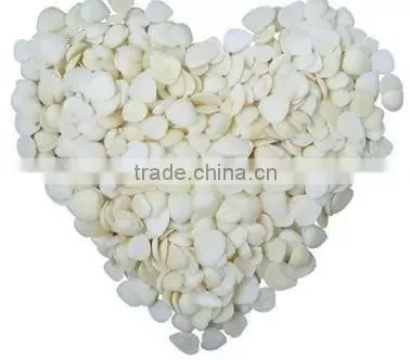Blanched Apricot Kerenels(almond) Flakes in China photo-3