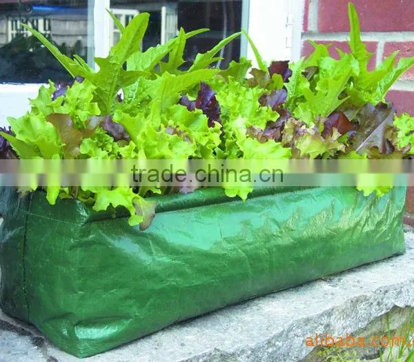 PE Planting Bag, Flowers Planting Bag photo-2