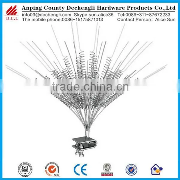 Stainless Steel Bird Thorn/Metal Anti Bird Thorn, Bird Spike for Sale