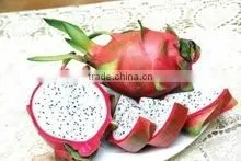 DRAGON FRUIT