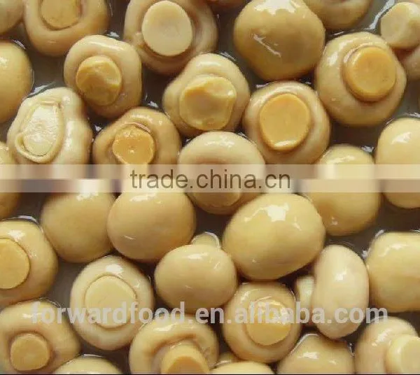 New Crop Mushroom Canned in Whole or Pieces photo-5