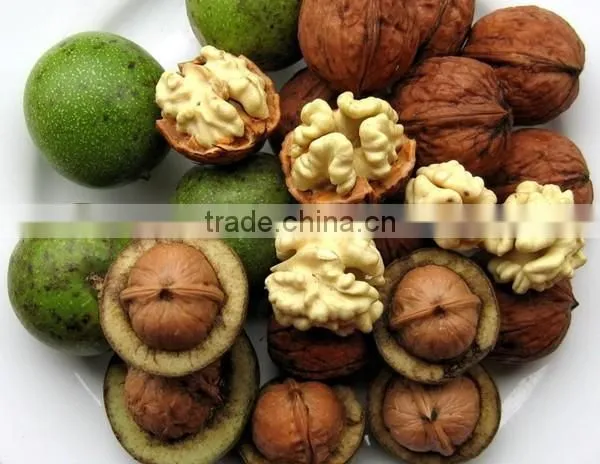 Chinese Walnut Kernel for Hot Sale and With Good Quality and Free Sample for You photo-2