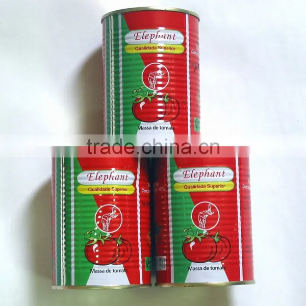 Sweet Taste Tomato Paste Tomato Sour Sauce photo-2